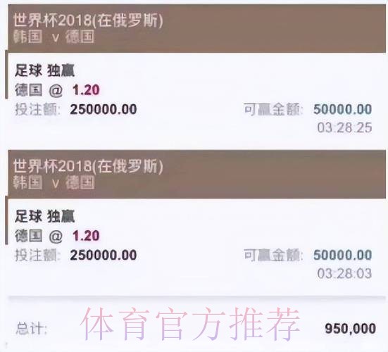 正规可信平台精选：世界杯投注首选
